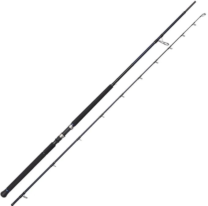 Westin W2 Rockshore Apex Predator Shore Jigging Hengel Zilver 2.95 m / 60-160 g