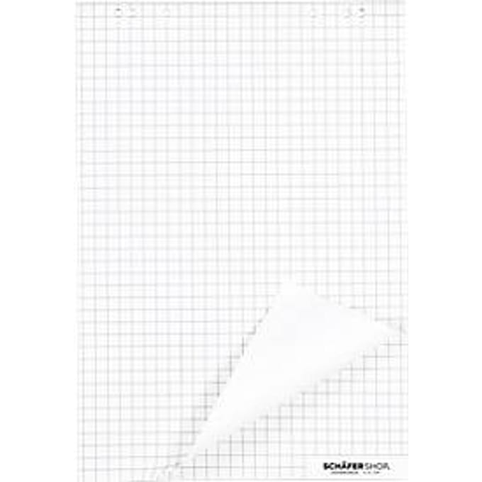 Schäfer Shop Select Flipoverblokken, 80 g/m², geruit, 5 stuks