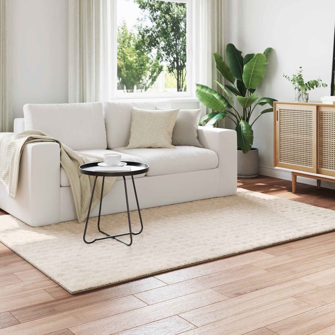 vidaXL - Binnen - kleed - SIROLO - Beige - 120 - x - 170 - cm - Polyester - Medium - Pile