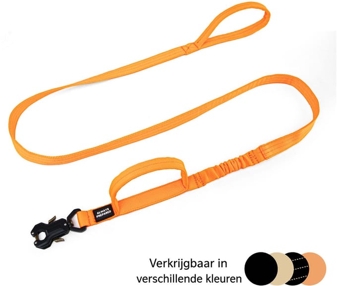 Always Prepared Pro Hondenriem - Elastisch - 180 cm - Oranje