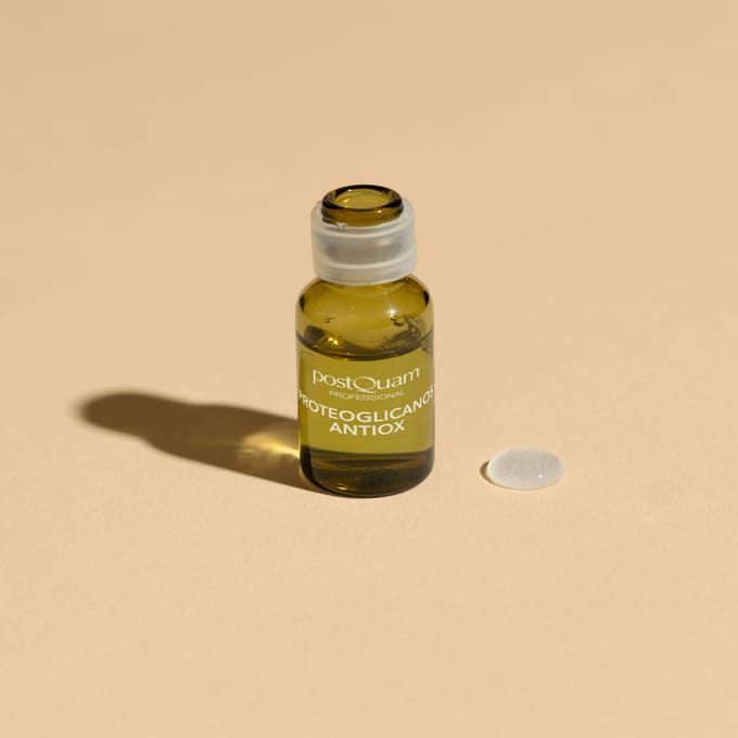 POSTQUAM SKIN CARE ANTIOXIDANT VOOR PROTEOGLYCANEN (10 FLACONS)