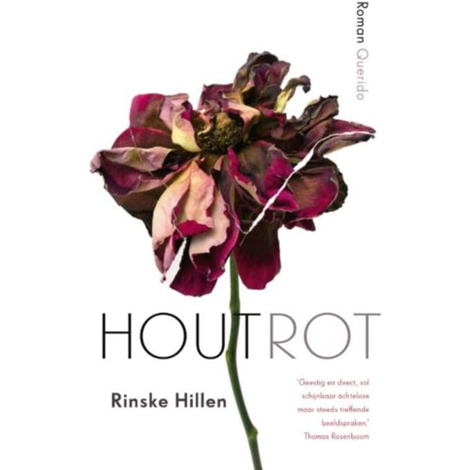 Houtrot - Rinske Hillen