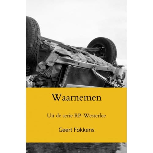 Waarnemen - Geert Fokkens