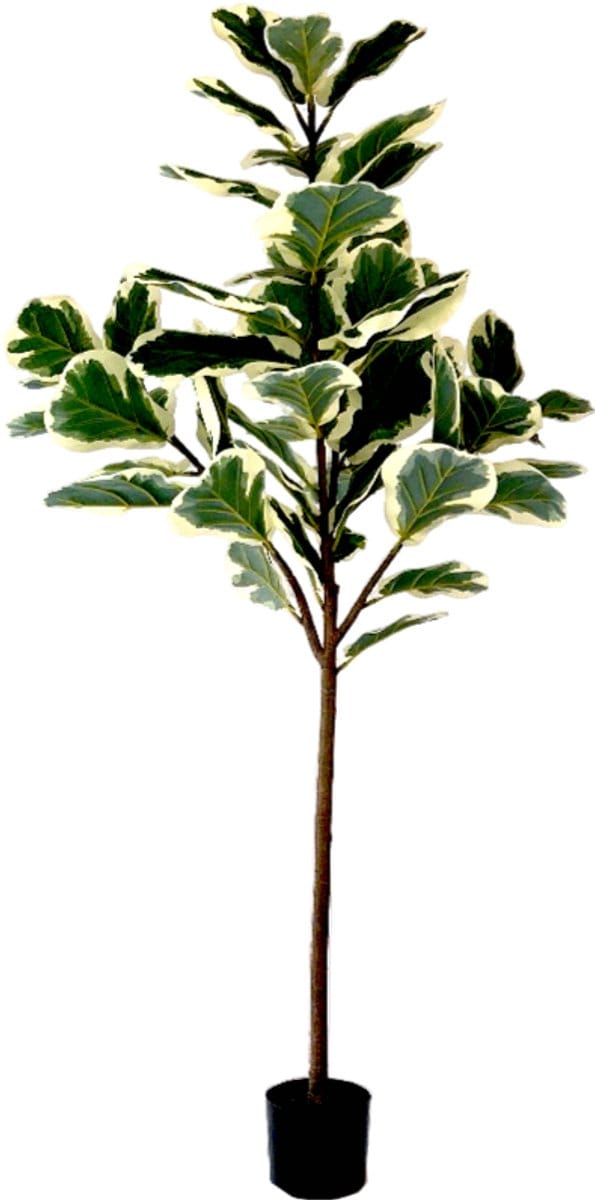 Neverleafs Kunstplant Ficus Lyrata Deluxe - 160cm