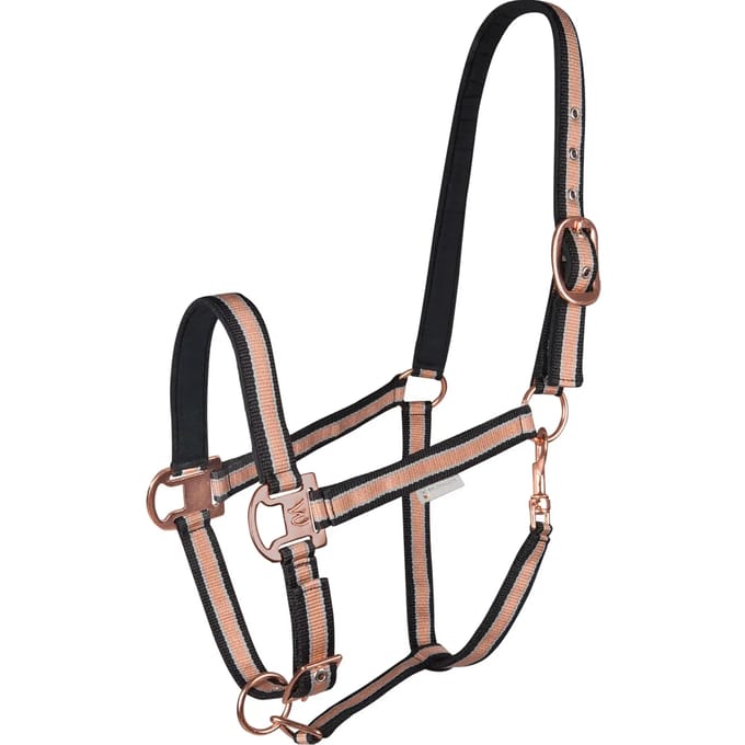 Waldhausen Halter glans Cob Zwart / Rose