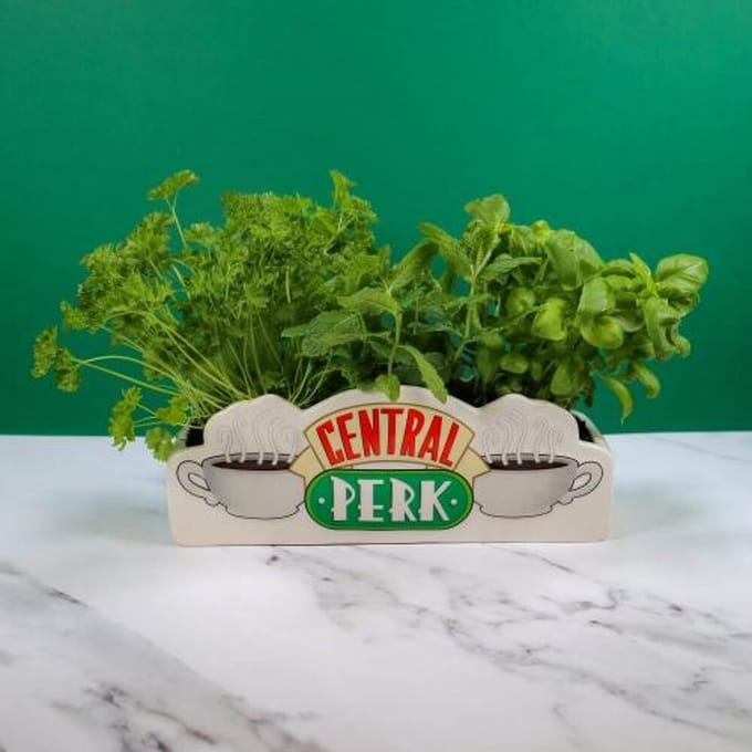 Friends - Central Perk - Table Top Vase
