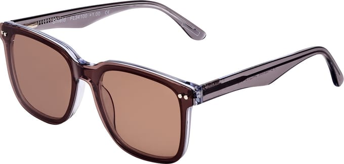 Leesbril Frank and Lucie met zonneclip Eyewant-FL34100-Shield-+2.50