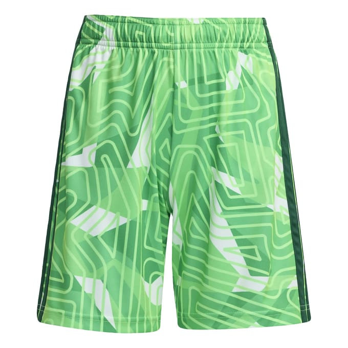 Kinder keepersbroek adidas Competition Tiro 26