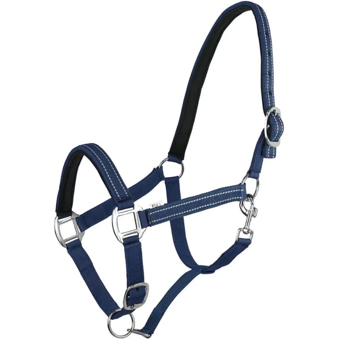 Halster voor paarden York Teo