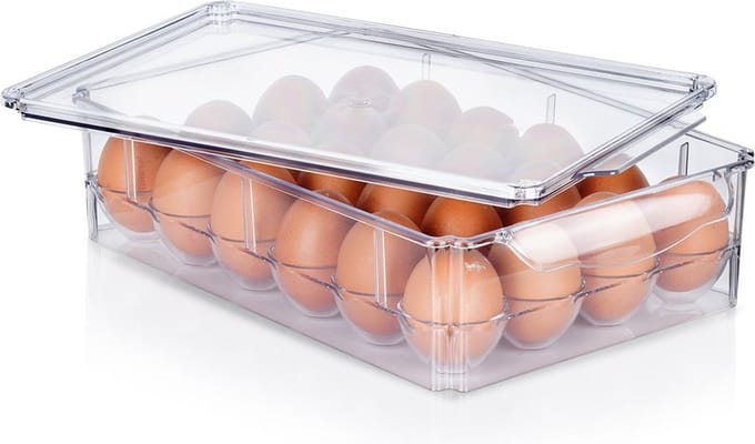 Eierdoos met Deksel voor 24 Eieren - Eierbox - Eierhouder voor Koelkas - Organizer - Eierrek