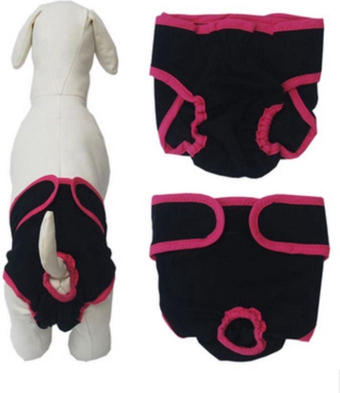 Loopsheidbroekje Hond - Hondenluier Teef - M - Zwart/Roze