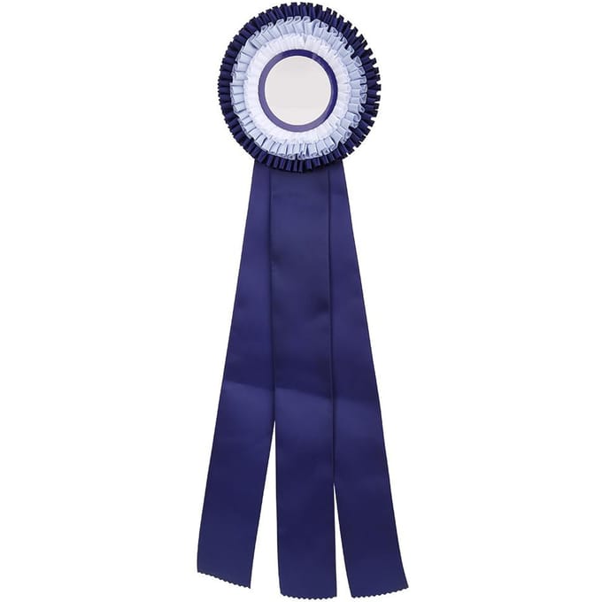 Tweede Plaats Rozet Lint Badge Prachtig Klein Winnaarsmedaille Prijs Trofee white