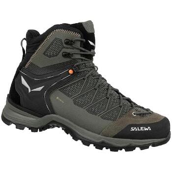 Wandelschoenen Salewa Trainer Liteid Gtx