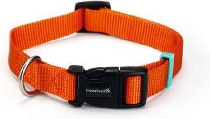 Beeztees nylon halsband Uni Oranje 48-70x25