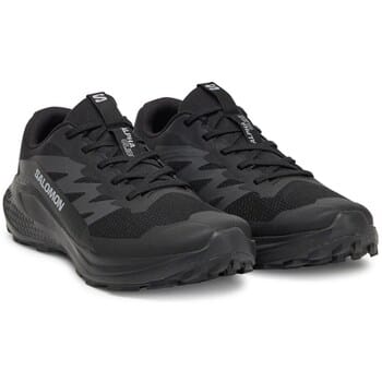 Nette Schoenen Salomon Alphaglide