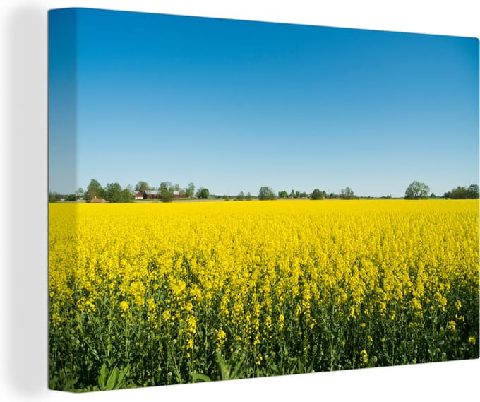Canvas Schilderij Oliezaad - Geel - Lente - 30x20 cm - Wanddecoratie