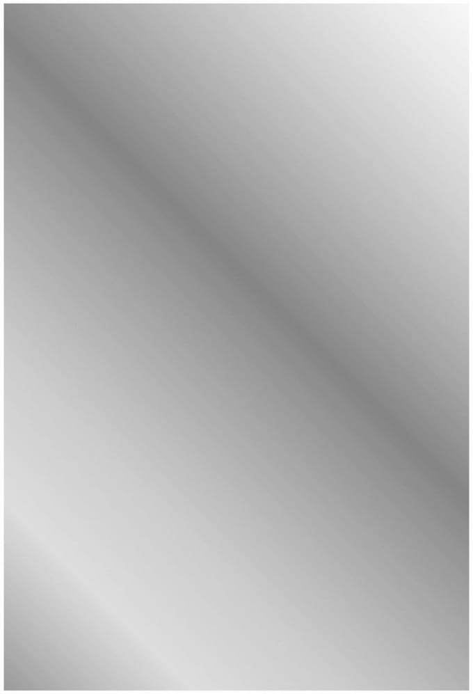 ALONI MIKARO toiletspeigel – met lijst – 40x60x1,9 cm – Zwart eiken