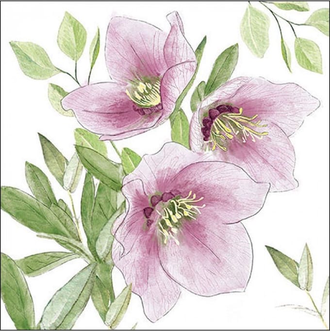 Lunch Servetten Classic helleborus - Ambiente - 33x33 cm