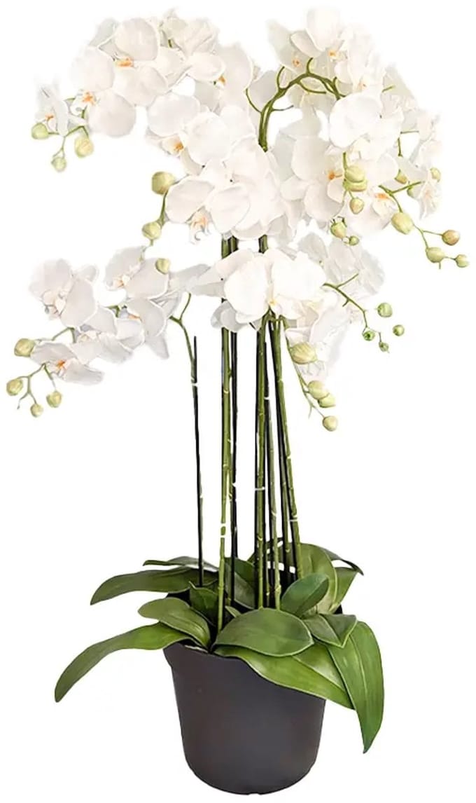 Orchidee Kunstplant 9-tak 110 cm - Wit