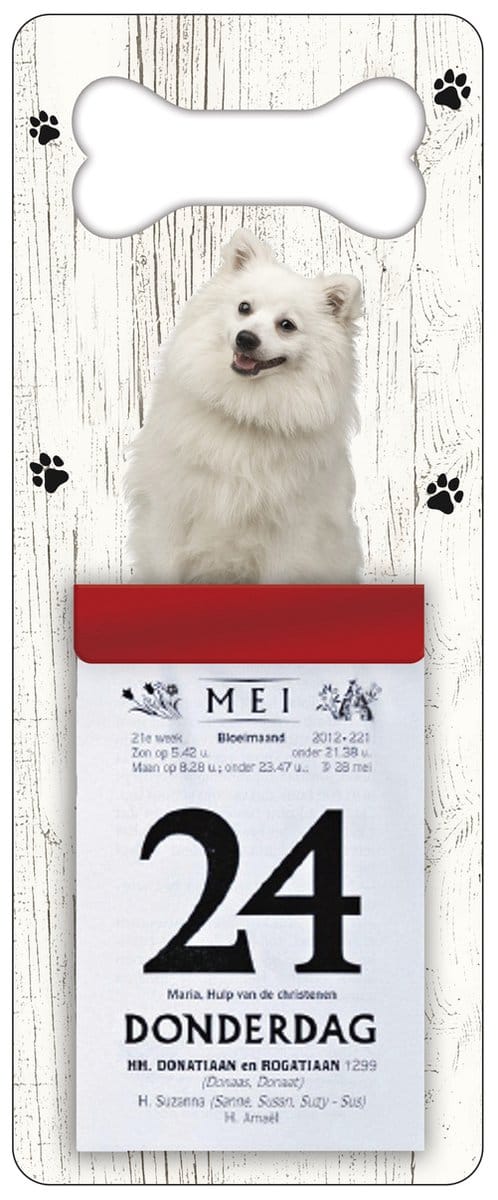 Scheurkalender 2027 Hond: Japanse Spits