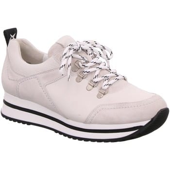 Sneakers Paul Green -