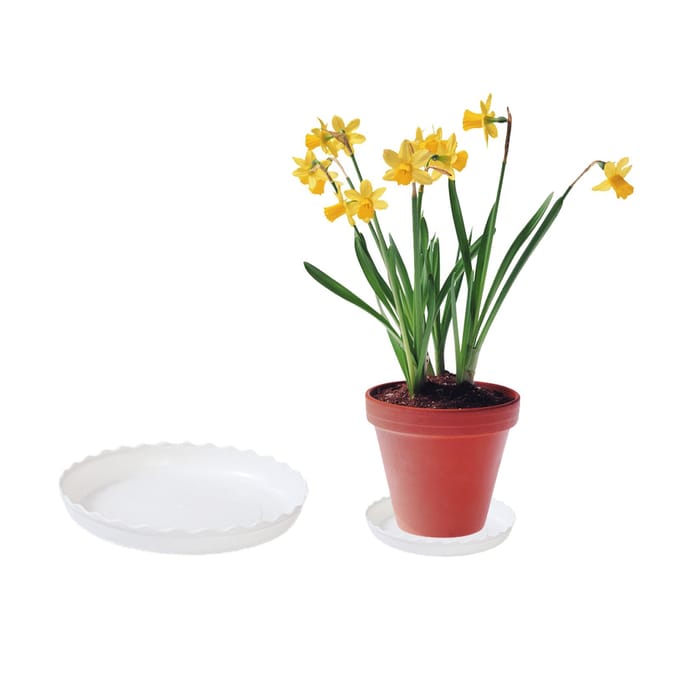 Support à eau pour pot de plante Plateau rond en plastique avec base mobile gray