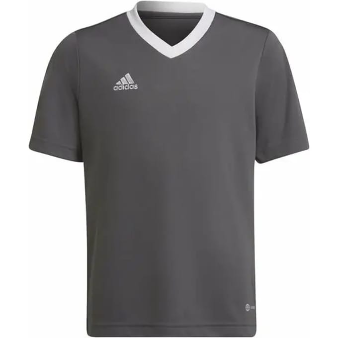 adidas Performance Entrada 22 Voetbalshirt - Kinderen - Grijs - 116