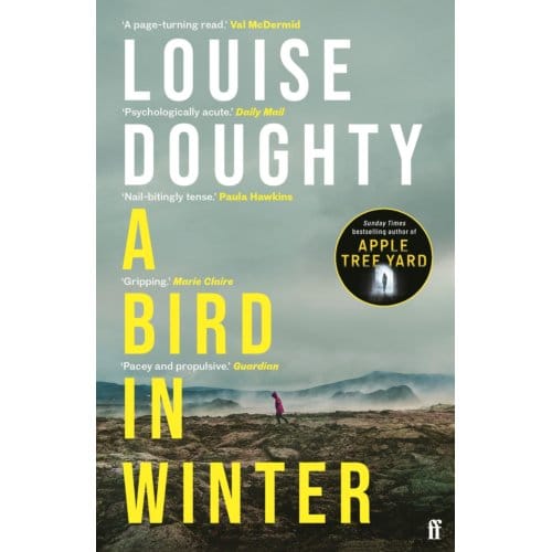 A Bird In Winter - Louise Doughty