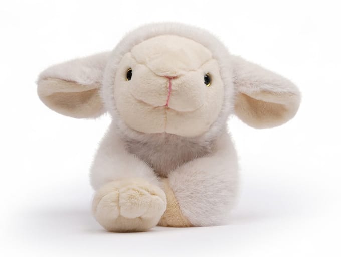 ONE LOVE Knuffel - Lam Daisy - 31Cm - Wit - 0 Jaar
