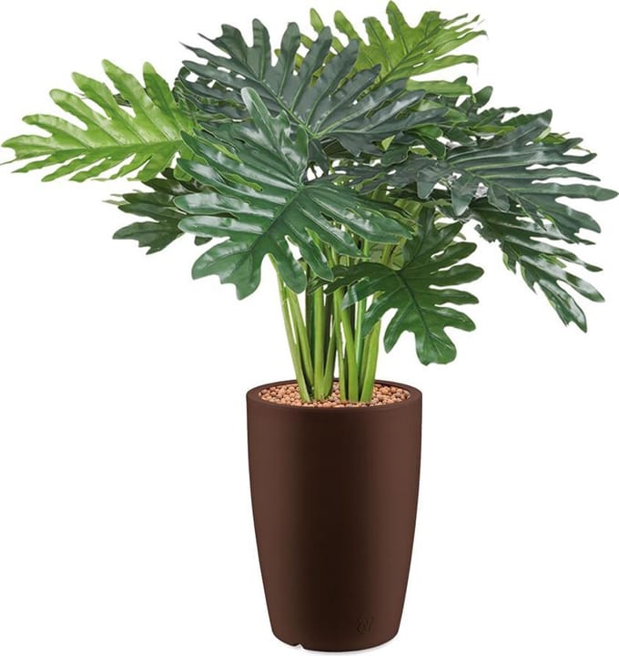 HTT - Kunstplant Philo Xanadu in Genesis rond bruin H90 cm