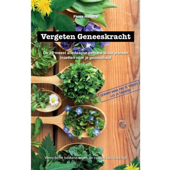 Vergeten Geneeskracht - Fiona Hofstra