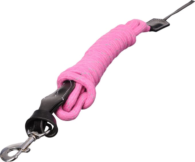 MHS Loswerk lijn 680 Roze
