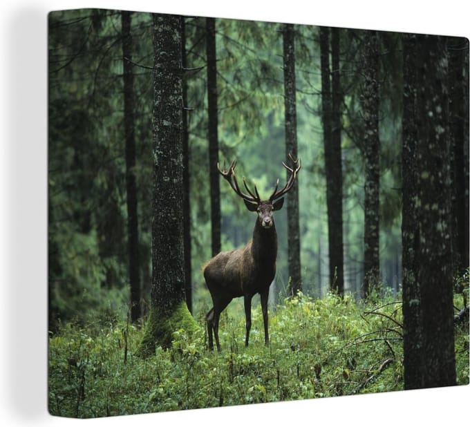 Canvas Schilderij Hert - Bomen - gewei - 80x60 cm - Wanddecoratie