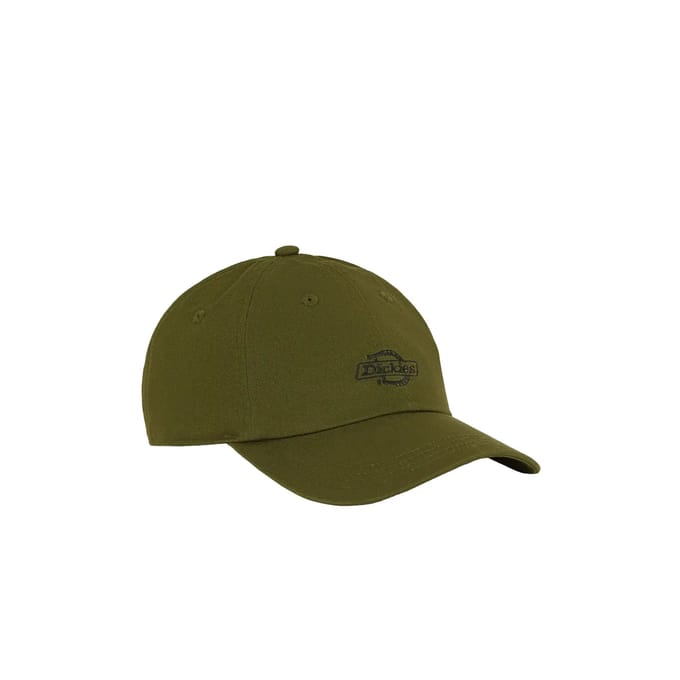 Dickies Essential Dad Pet Groen