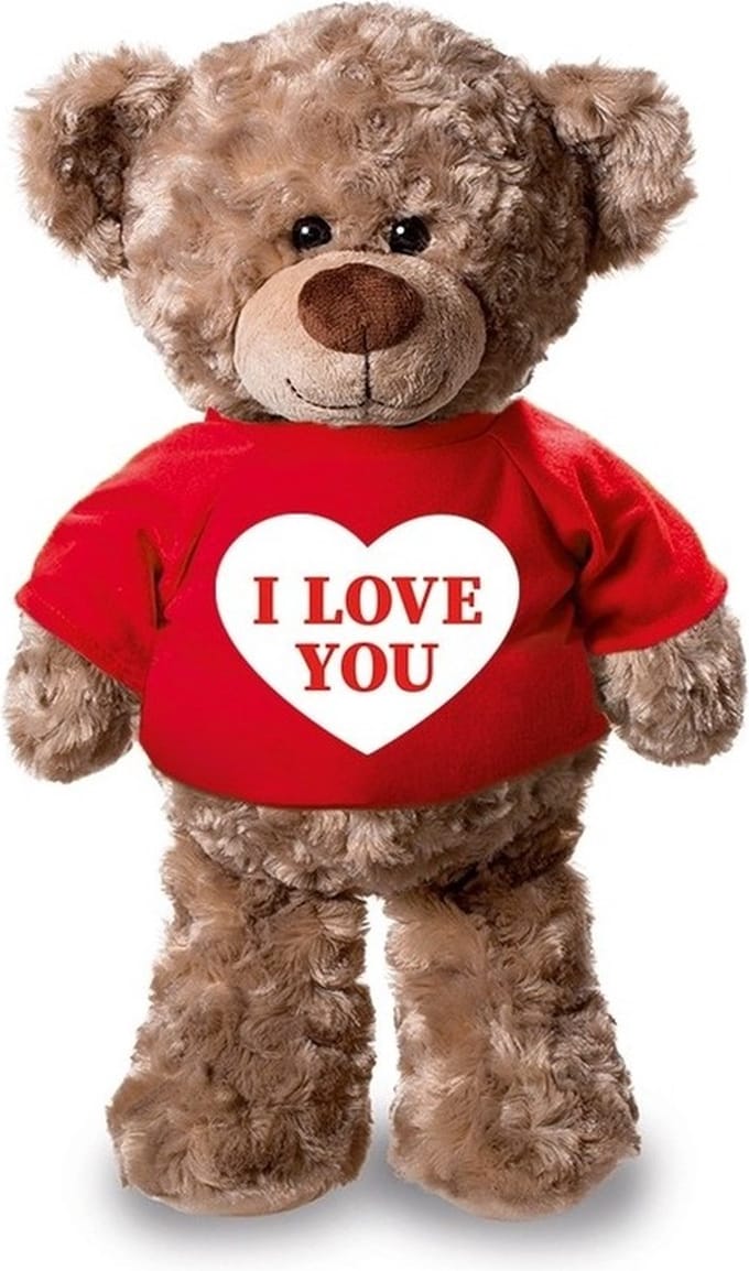Knuffel teddybeer hartje - i love you - 24 cm - pluche - met shirt