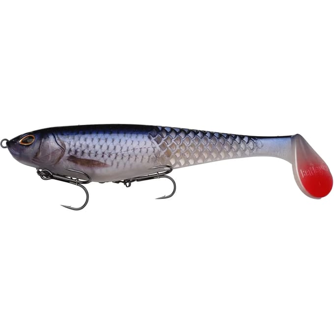 Lok Berkley Cull Shad Roach