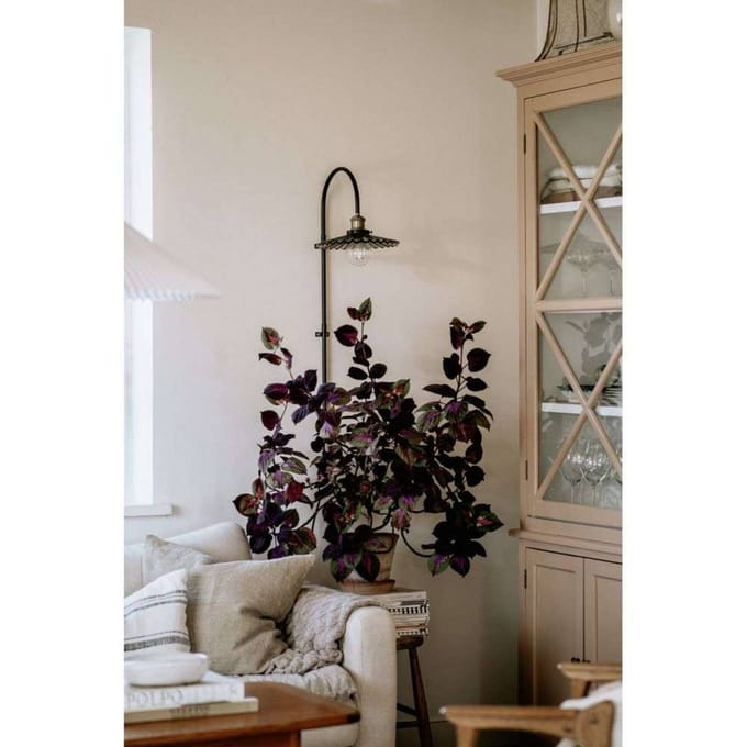Globen Lighting wandlamp COBBLER, grijs, hoogte 75 cm