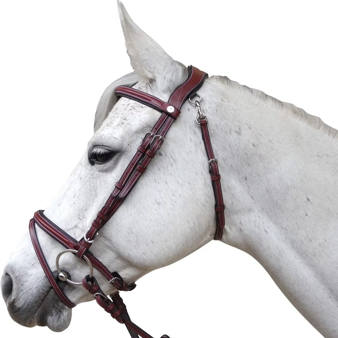 Hoofdstellen voor paarden Flags&Cup Lanaken
