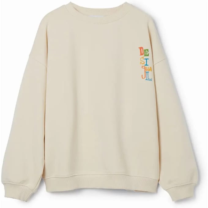 Junior Sweatshirt Desigual Lion