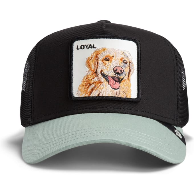 Pet Goorin Bros 1010505VOI05