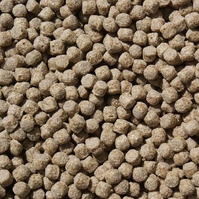 Koivoer Wheat Germ - 2,5KG - 6mm