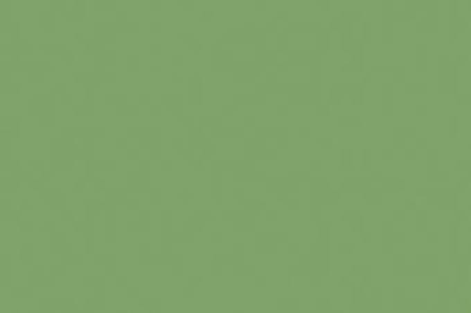 Tekenpapier Folia appelgroen - 50x70cm 130gr pak 25 vel