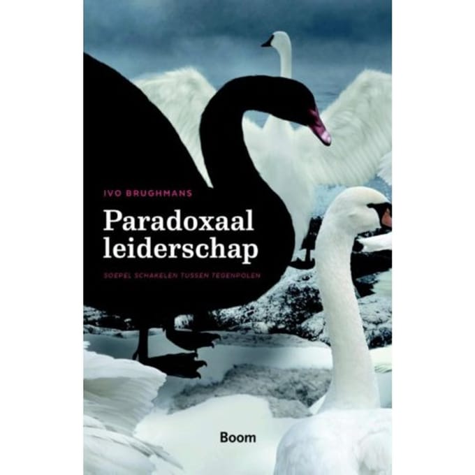 Paradoxaal Leiderschap - Ivo Brughmans