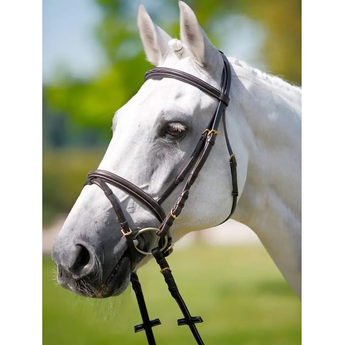 Hoofdsteun, browband-licol, wit Tattini