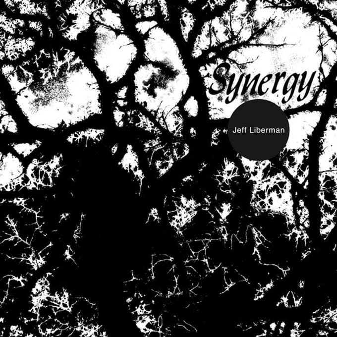 Jeff Liberman - Synergy (LP)