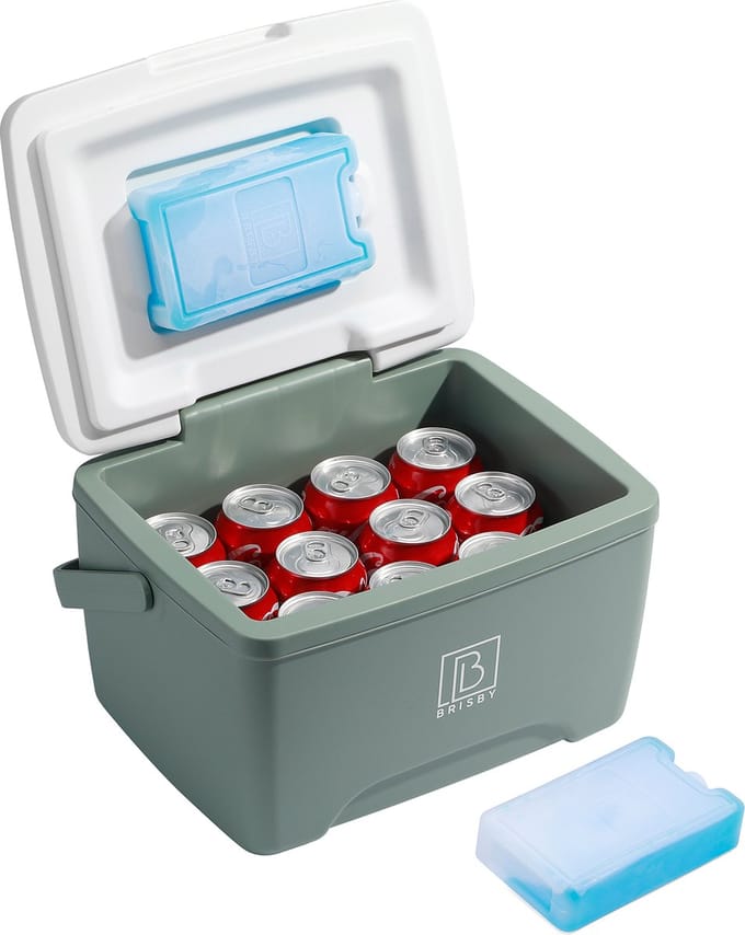 Brisby Koelbox 8L – 2 koelelementen – Dekselintegratie – Groen