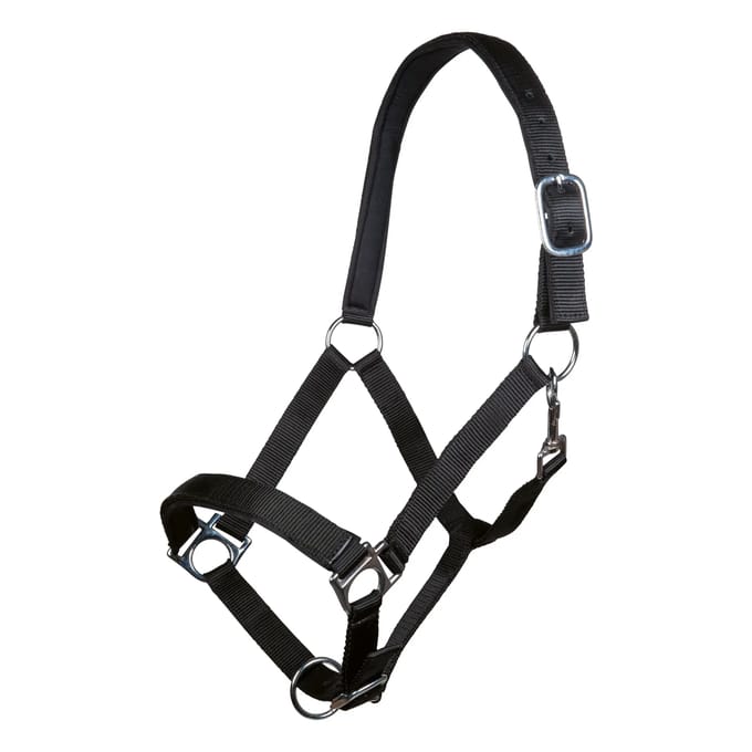 Halster voor paarden HKM Stars