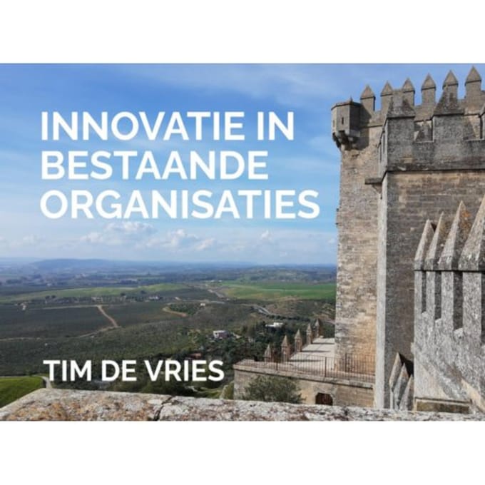 Innovatie In Bestaande Organisaties - Tim De Vries