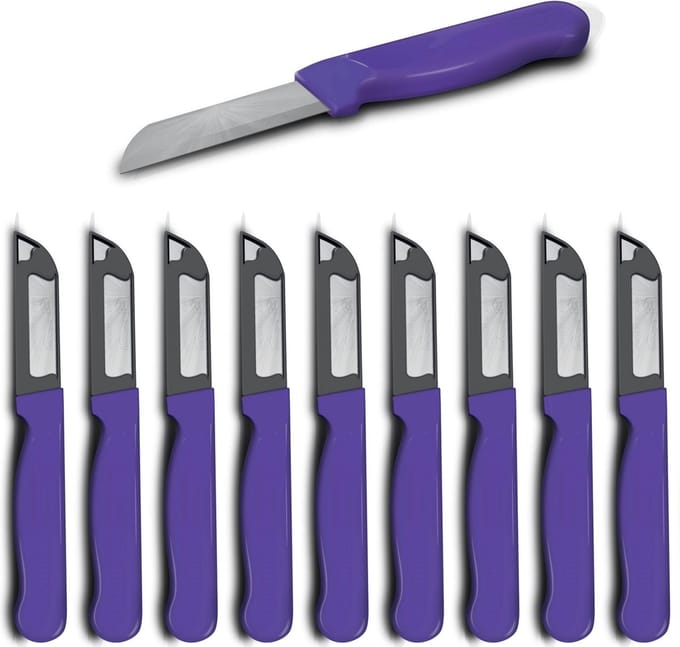 Solingen Schilmesje Robuust Handvat – RVS Glad – 16 cm met Blade Cover – Paars – 10 stuks