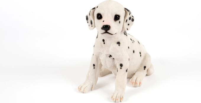 Zittende Dalmatiër - Hamac - Tuinbeeld